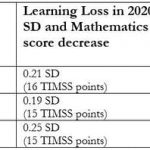 Counting the cost of lost schooling in South Africa