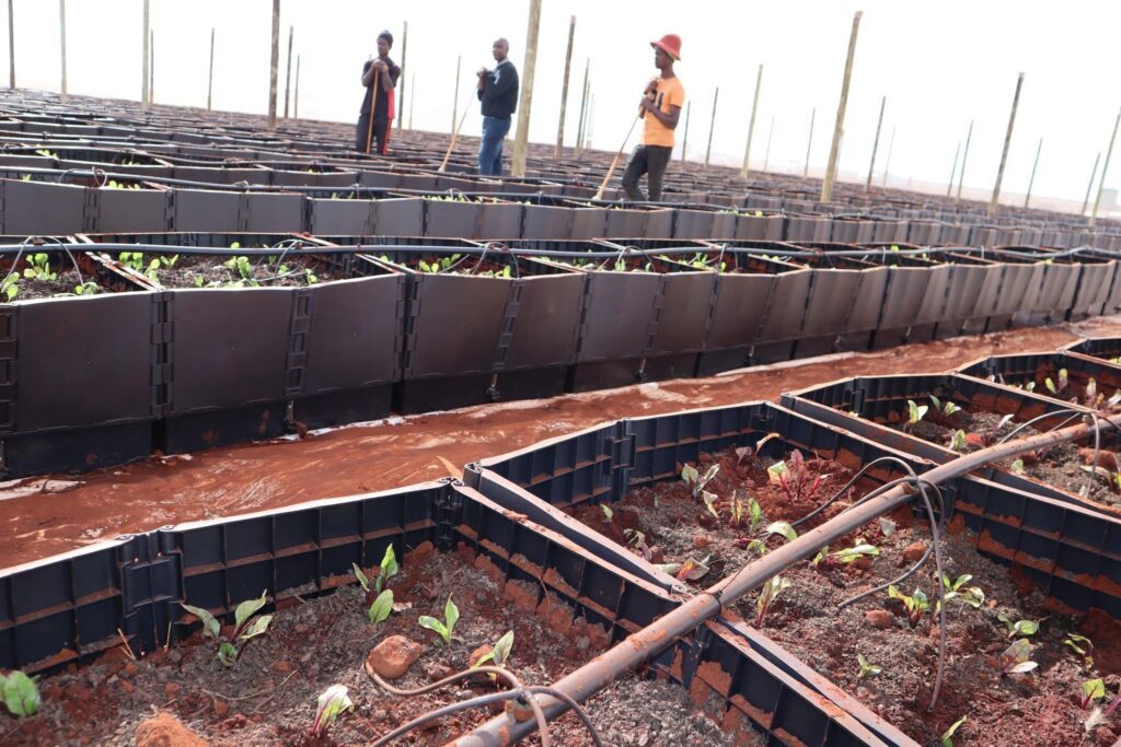 Youth Empowerment gets a shot in the arm from DBE