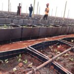 Youth Empowerment gets a shot in the arm from DBE