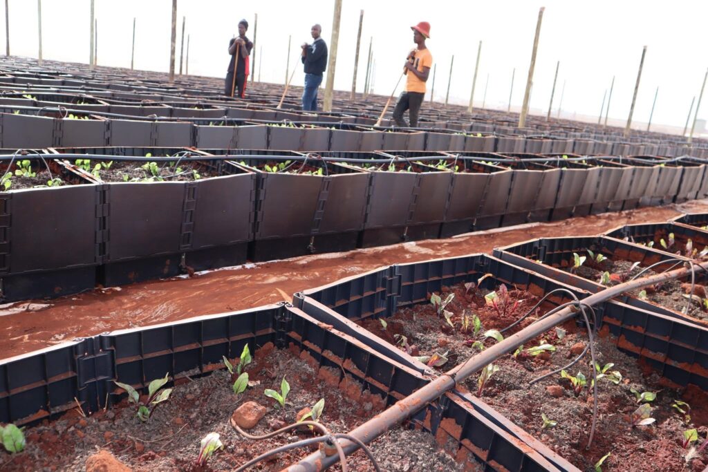 Youth Empowerment gets a shot in the arm from DBE