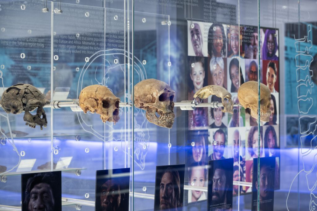 Visitors get closer to the science that has defined the Sterkfontein Caves