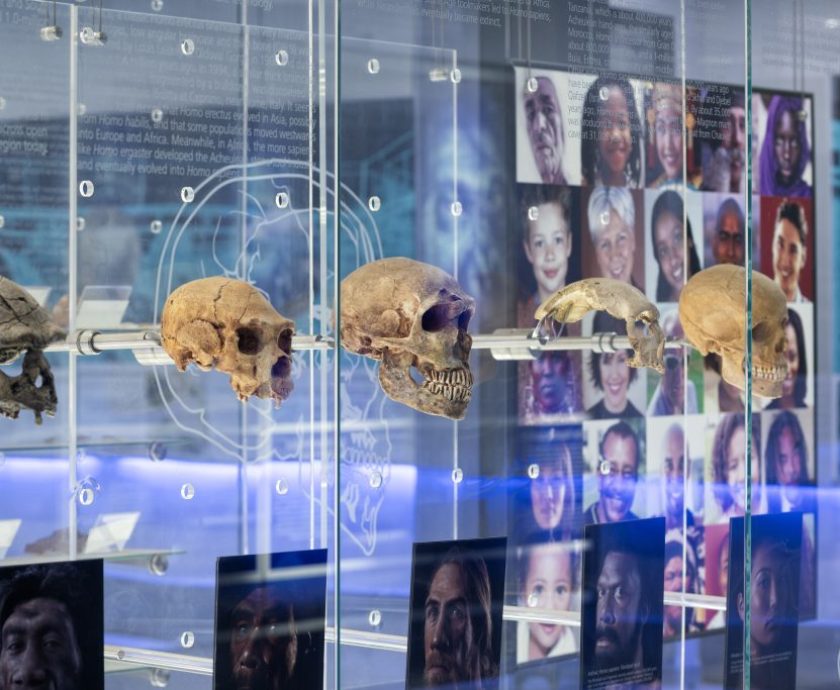 Visitors get closer to the science that has defined the Sterkfontein Caves