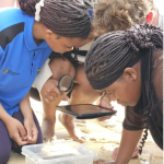 From classroom to coastline, Marine Sciences opens new horizons for learners