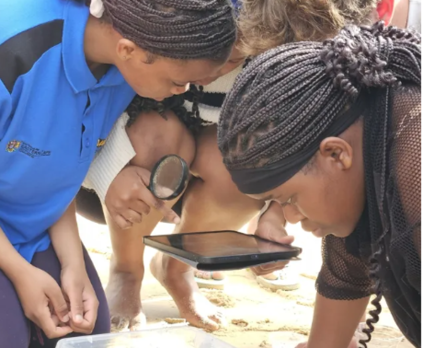 From classroom to coastline, Marine Sciences opens new horizons for learners