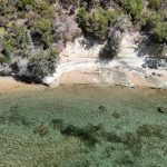 Fossil hunters find a new dinosaur track site on South Africa’s coast – the youngest so far