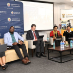 Nel: Indigenous languages must shape South Africa’s legal system, not only court interpretation