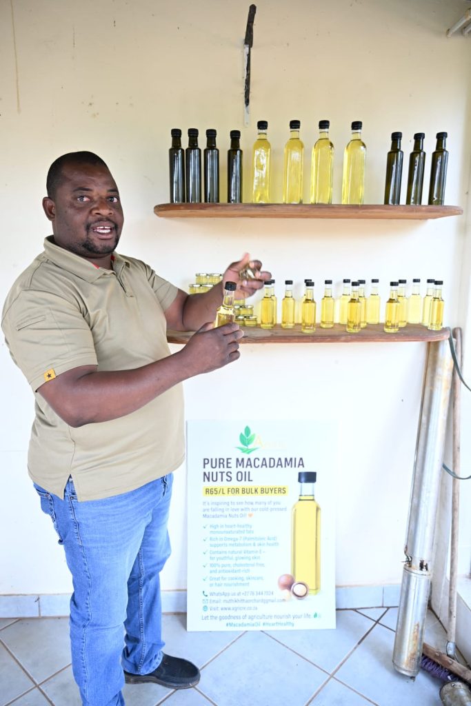 From engineering to agriculture: Muthikhitha builds thriving macadamia business in Limpopo