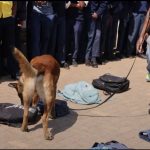 Maile turns up heat on schools after Vaal raids