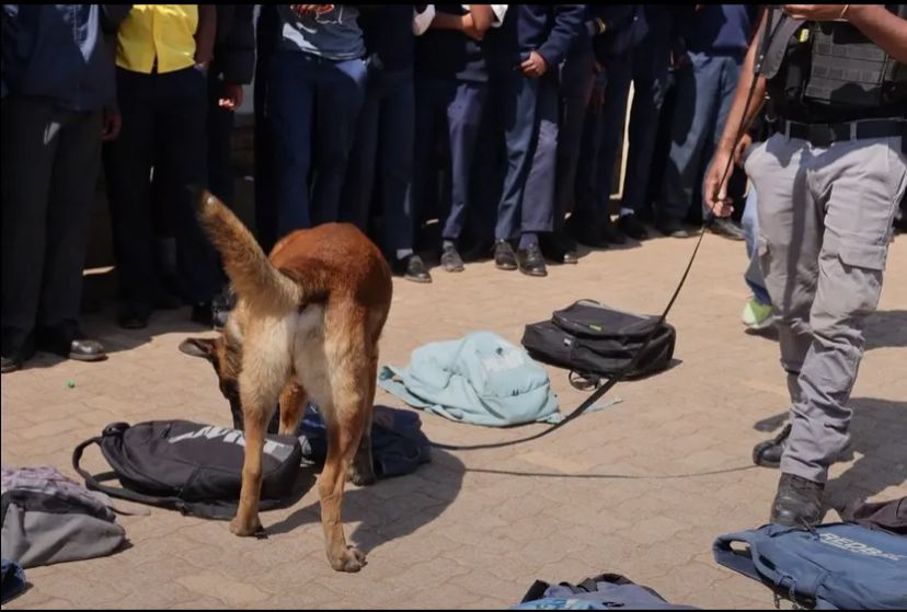 Maile turns up heat on schools after Vaal raids