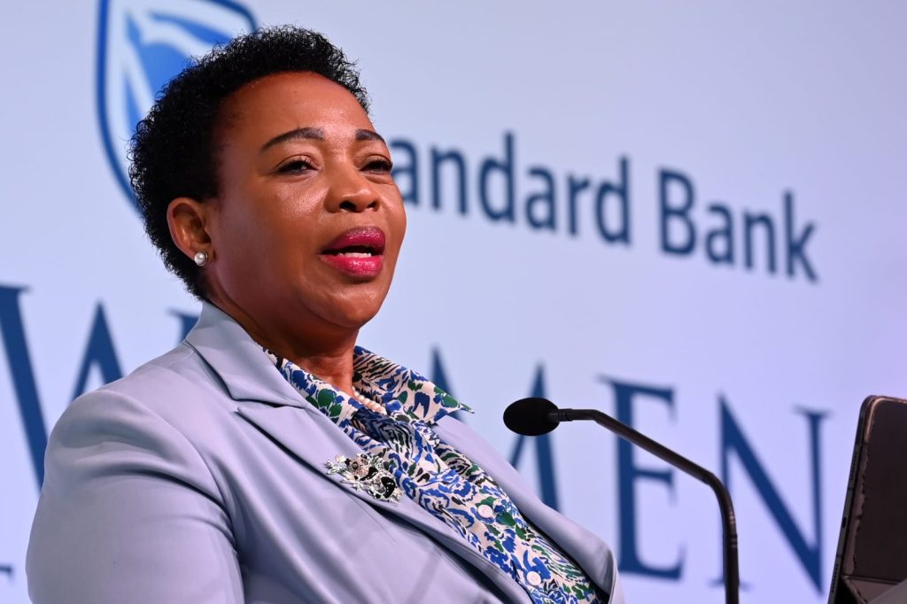 Dube-Ncube: DHET tracking girls in STEM to boost women in AI, engineering